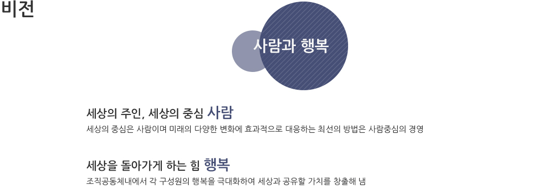 비전